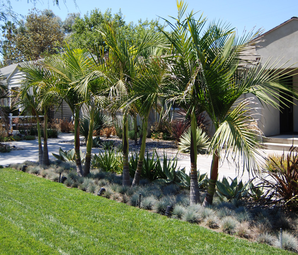 Contemporary front garden in Los Angeles with a garden path.