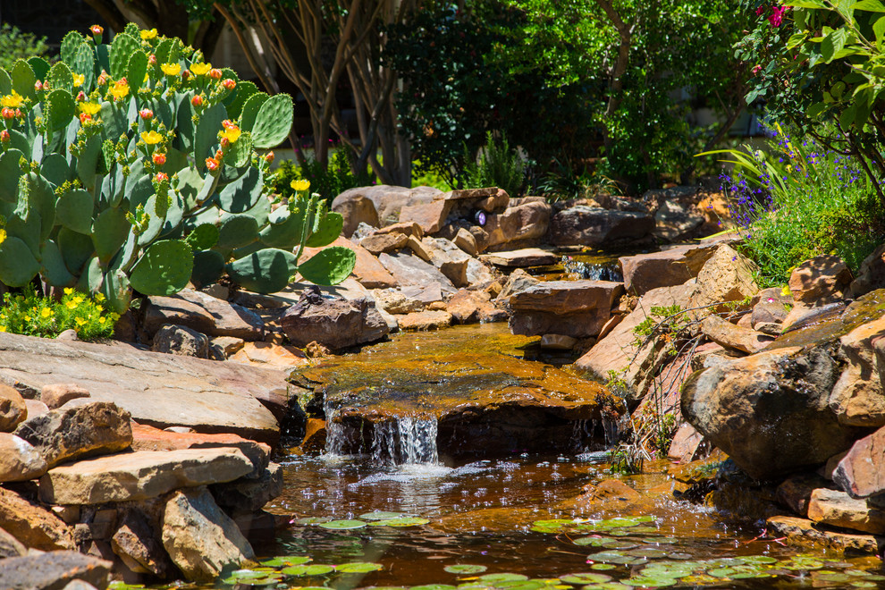 Photo of a large farmhouse drought-tolerant and full sun backyard stone pond in Dallas.
