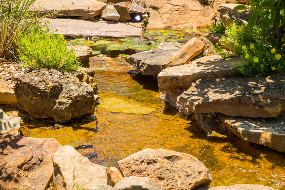 Exemple d'un grand xéropaysage arrière nature avec un bassin, une exposition ensoleillée et des pavés en pierre naturelle.