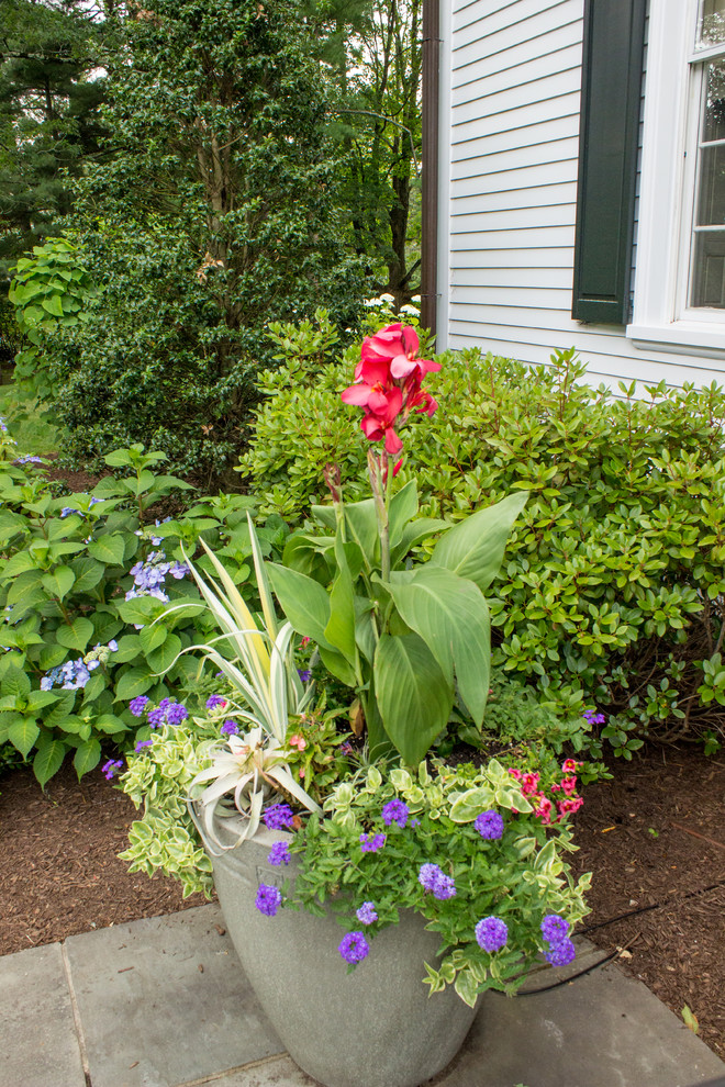 Idee per un ampio giardino chic esposto in pieno sole davanti casa in estate con un giardino in vaso e pacciame