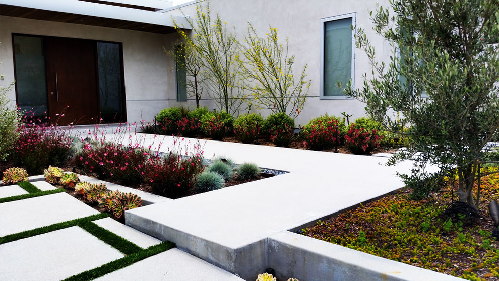 Photo of a mid-sized modern full sun front yard concrete paver landscaping in Los Angeles for summer.