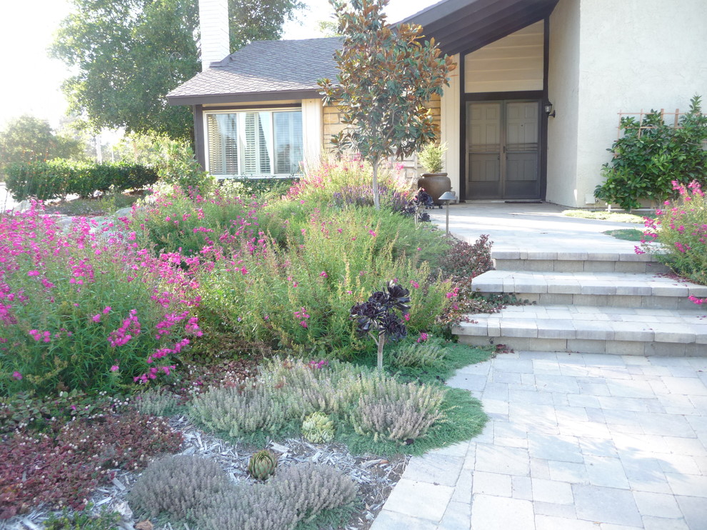 Foto di un giardino xeriscape chic esposto in pieno sole di medie dimensioni e davanti casa con pavimentazioni in pietra naturale