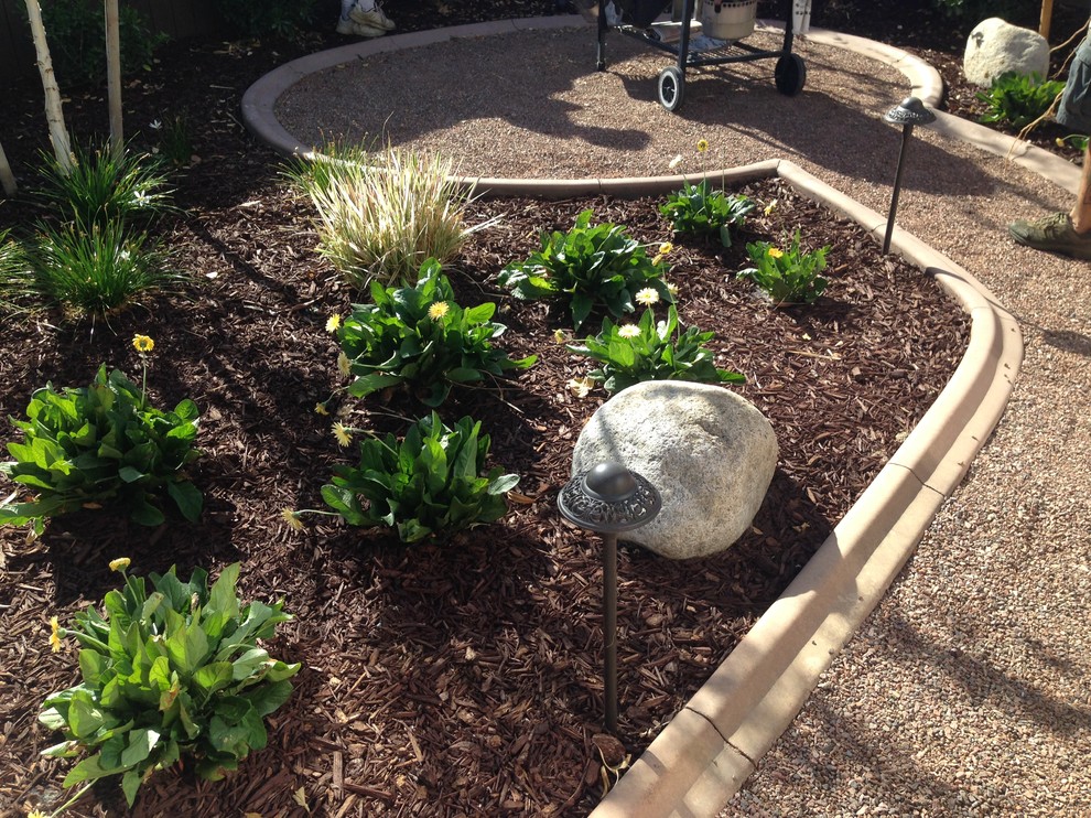 Contemporary back xeriscape full sun garden in San Diego with gravel.