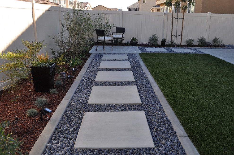 Kleiner, Halbschattiger Moderner Garten hinter dem Haus mit Betonboden in San Diego