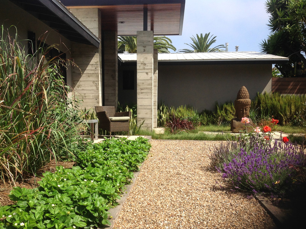 Mittelgroßer, Geometrischer Moderner Garten mit direkter Sonneneinstrahlung in San Diego