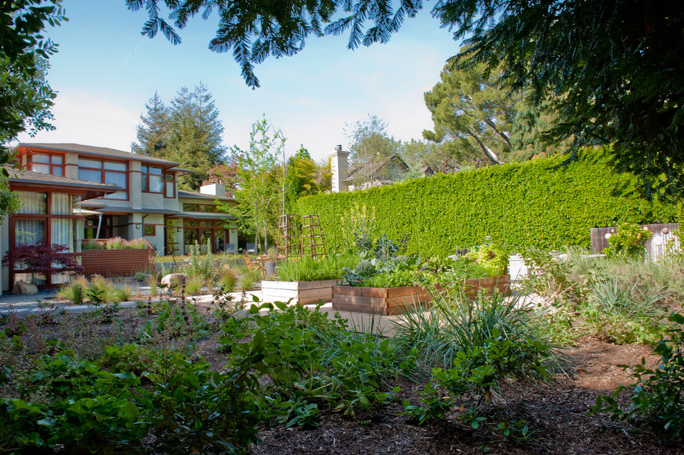 Источник вдохновения для домашнего уюта: большой тенистый, весенний участок и сад на заднем дворе в стиле модернизм с мульчированием