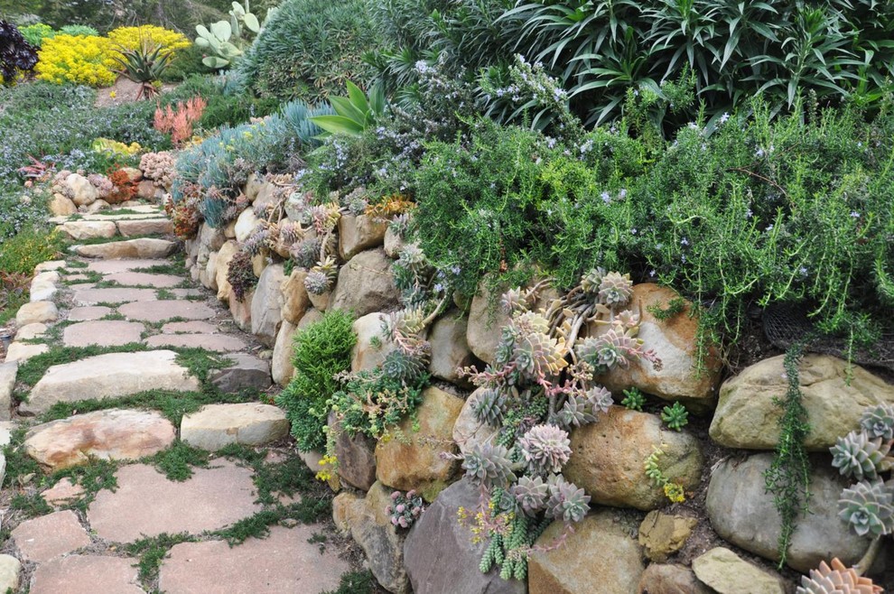 サンタバーバラにあるエクレクティックスタイルのおしゃれな庭の写真
