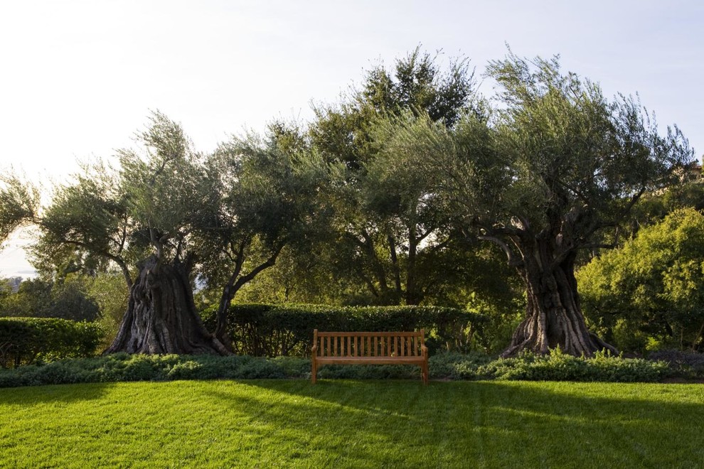 Inspiration for a contemporary back garden seating in Santa Barbara.