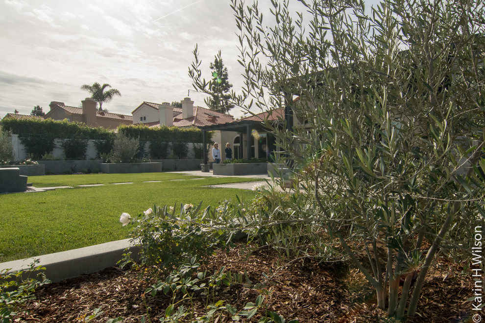 Kleiner Moderner Garten hinter dem Haus mit direkter Sonneneinstrahlung und Betonboden in San Diego