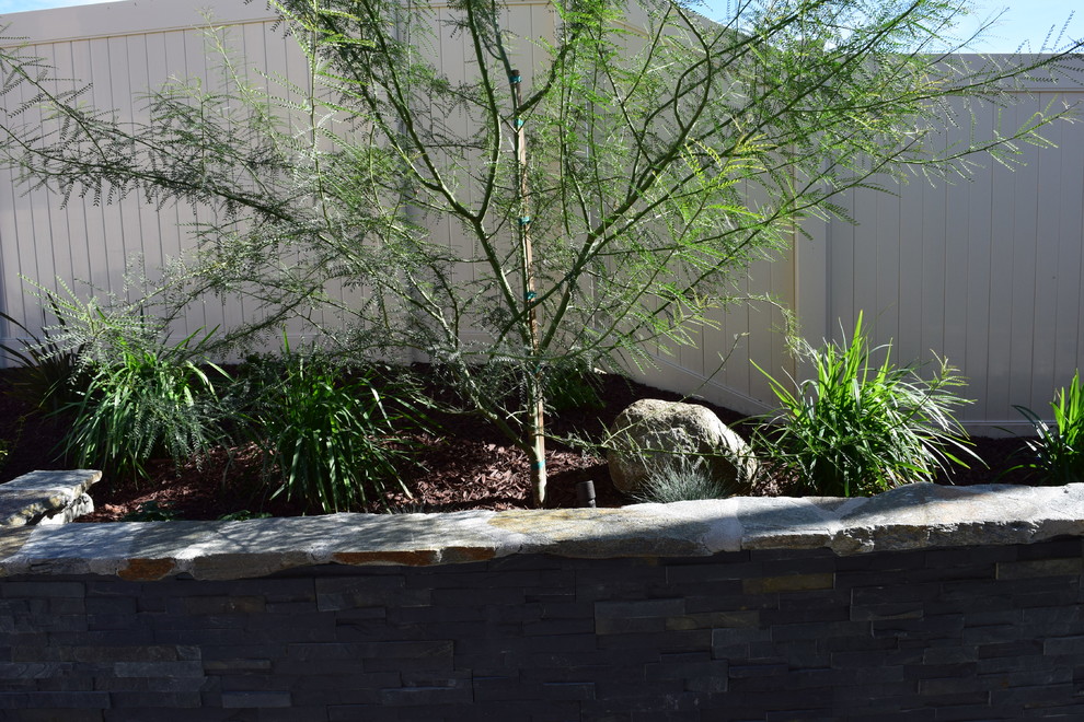 Design ideas for a small eclectic drought-tolerant backyard landscaping in San Diego.