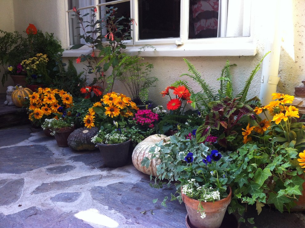 This is an example of a small traditional shade backyard landscaping in Los Angeles for fall.