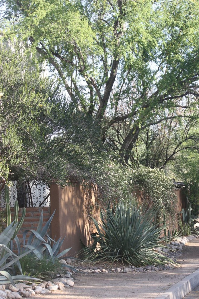 Inspiration for an eclectic landscaping in Phoenix.