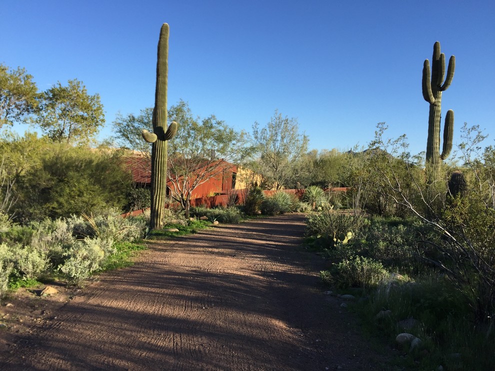 Großer, Halbschattiger Mediterraner Vorgarten mit Auffahrt und Wüstengarten in Phoenix
