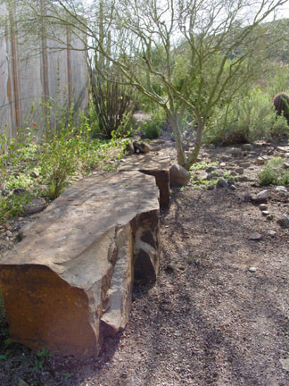 Inspiration for a mid-sized southwestern partial sun backyard gravel landscaping in Phoenix.