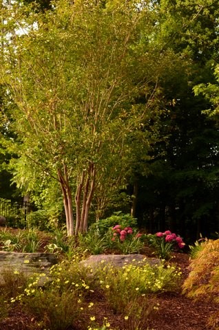 Immagine di un giardino contemporaneo