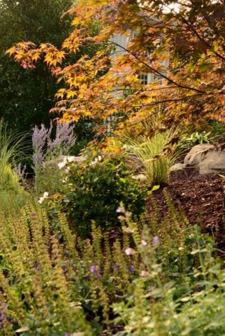 ワシントンD.C.にあるコンテンポラリースタイルのおしゃれな庭の写真