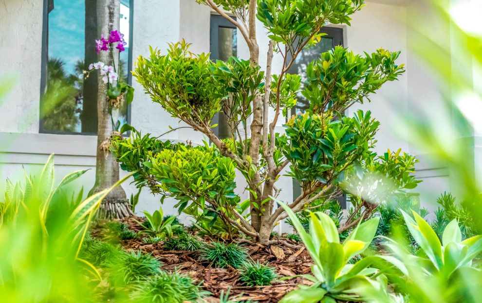 На фото: солнечный засухоустойчивый сад среднего размера на переднем дворе в современном стиле с дорожками, хорошей освещенностью и мощением клинкерной брусчаткой