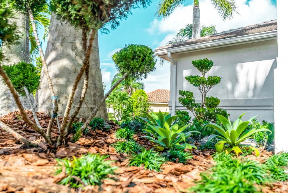 This is an example of a mid-sized contemporary drought-tolerant and full sun front yard brick walkway in Miami.
