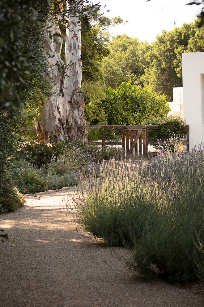 Design ideas for a modern garden in Santa Barbara.