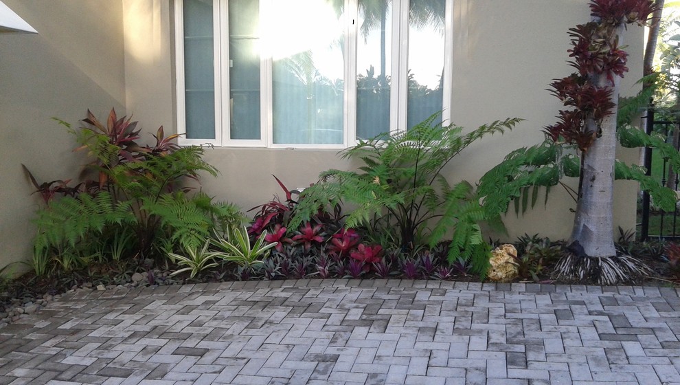 Idee per un piccolo giardino tropicale in ombra davanti casa in primavera con un ingresso o sentiero e pavimentazioni in cemento