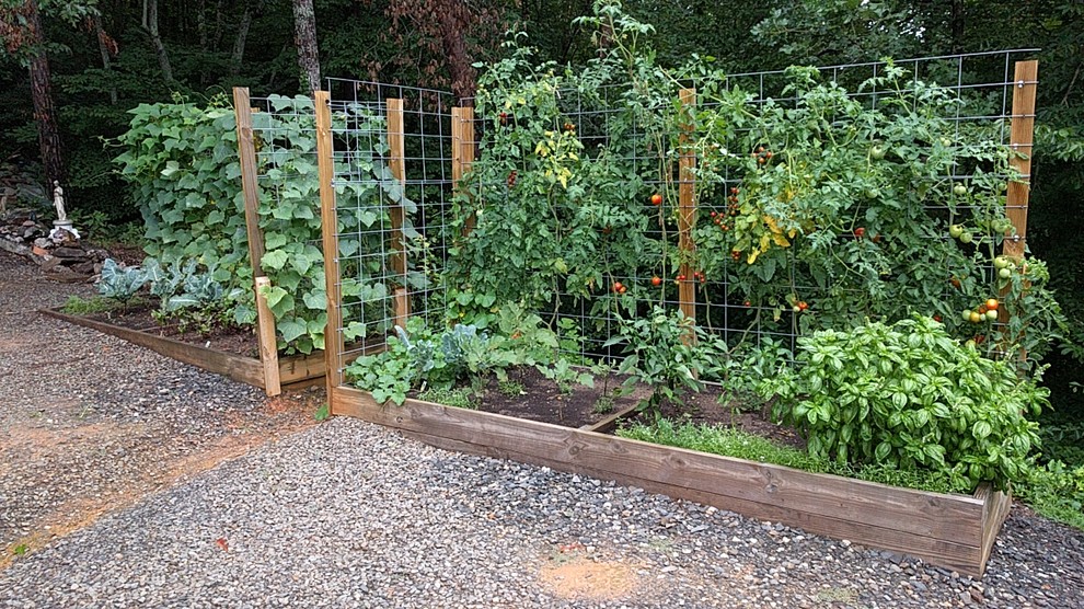 This is an example of a small modern side driveway partial sun garden for summer in Other with a vegetable patch and gravel.