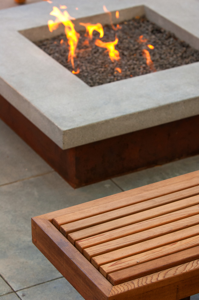 Photo of a small modern shade courtyard landscaping in Sacramento with a fire pit.
