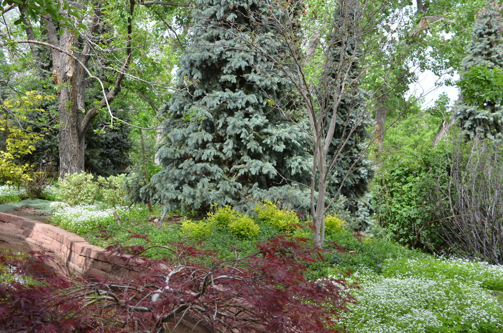 Cette photo montre un très grand jardin tendance au printemps avec une exposition ombragée.