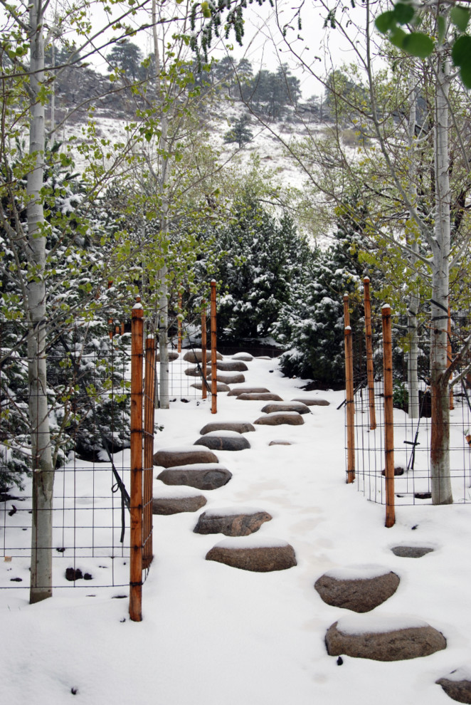 Inspiration pour un jardin design l'hiver.
