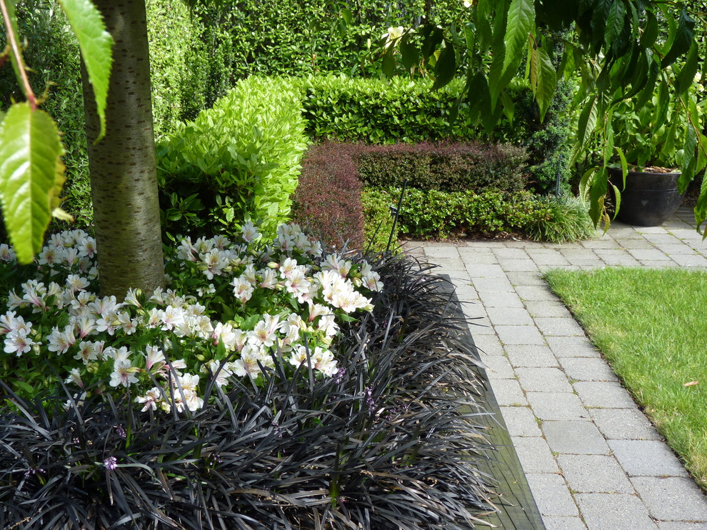Inspiration for a medium sized contemporary courtyard formal partial sun garden in Wellington with concrete paving.