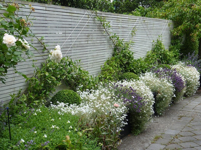 Idee per un giardino chic esposto a mezz'ombra di medie dimensioni e nel cortile laterale con pavimentazioni in cemento