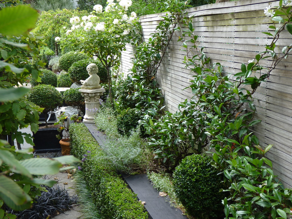 Mittelgroße, Geometrische, Halbschattige Klassische Pflanzenwand neben dem Haus mit Betonboden in Wellington