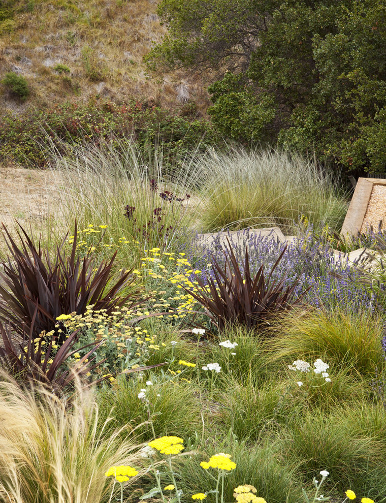 Photo of a contemporary landscaping in San Francisco.