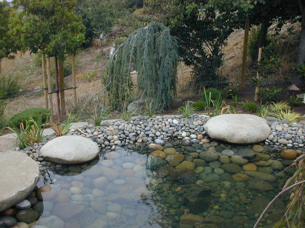 Modelo de jardín de estilo zen grande en verano en patio trasero con fuente, exposición total al sol y adoquines de piedra natural