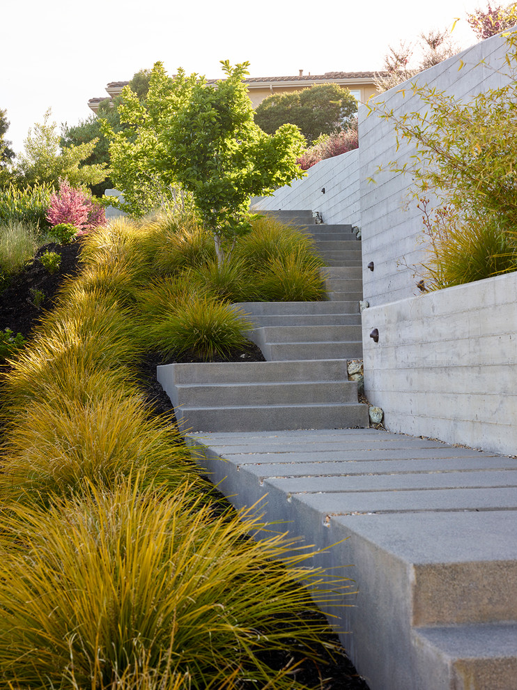 Ispirazione per un grande giardino minimalista davanti casa con un muro di contenimento