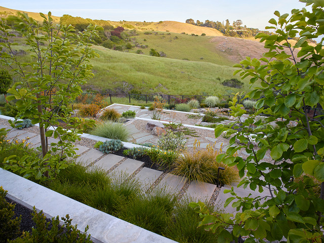 Tiburon Modern Garden San Francisco By Huettl Landscape Architecture Houzz Uk