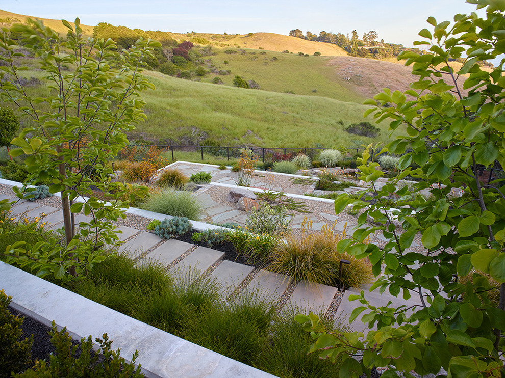 Große Moderne Gartenmauer hinter dem Haus mit Betonboden in San Francisco