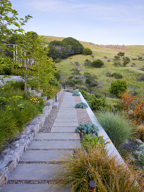 Tiburon Minimalistisch Garten San Francisco Von Huettl Landscape Architecture Houzz