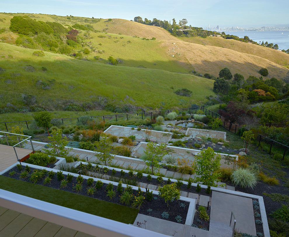 Design ideas for a large modern back garden in San Francisco with a retaining wall.
