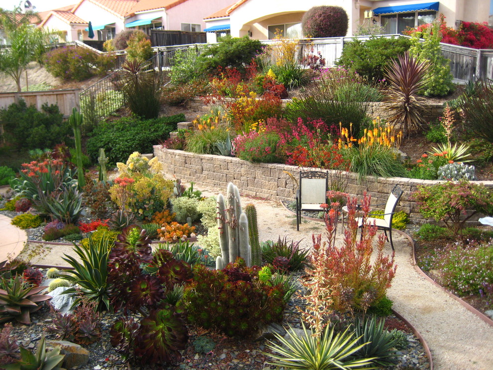 Пример оригинального дизайна: засухоустойчивый сад в современном стиле с садовой дорожкой или калиткой