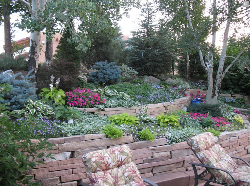 Photo of a large contemporary back partial sun garden in Denver with a retaining wall and natural stone paving.