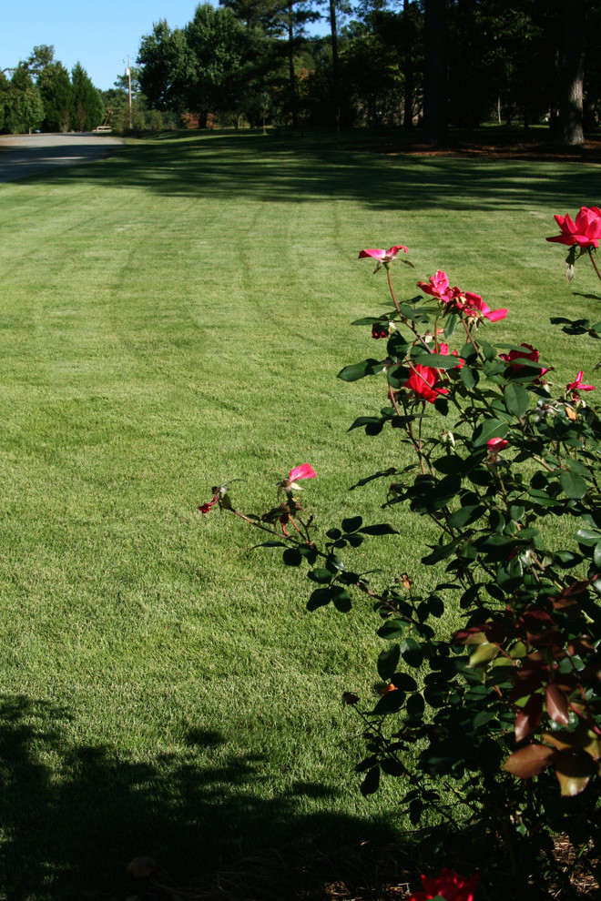 Foto di un ampio giardino tradizionale esposto in pieno sole davanti casa in estate
