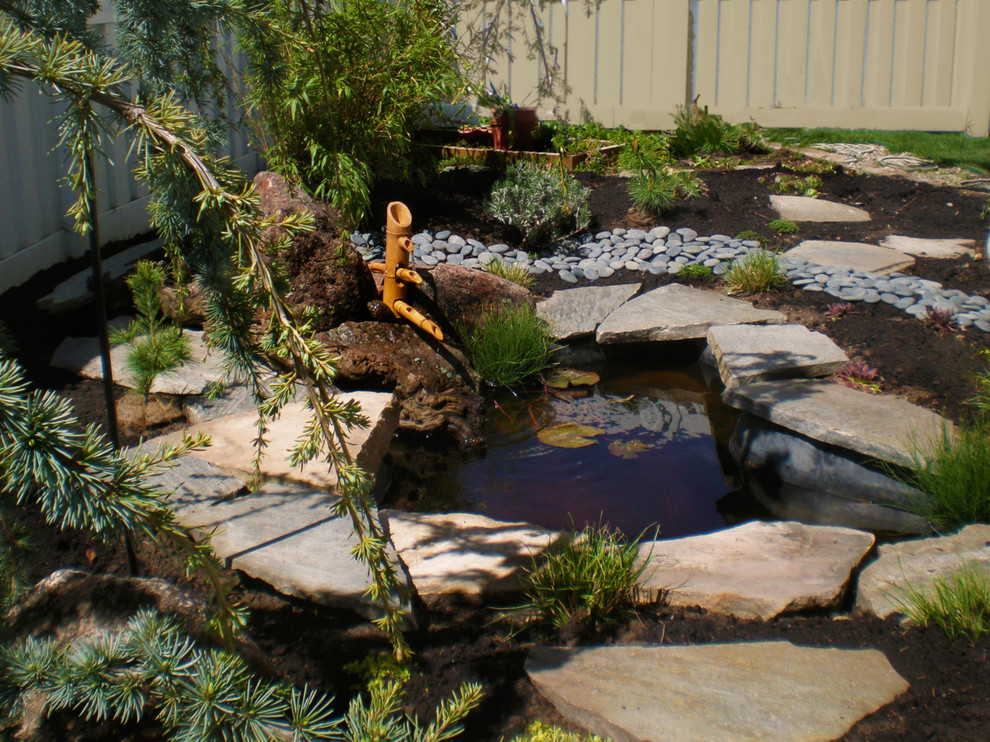 Aménagement d'un jardin arrière asiatique avec un bassin et des pavés en pierre naturelle.
