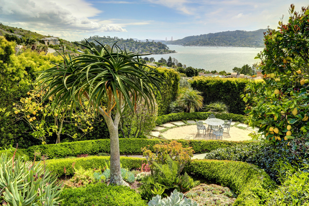 This is an example of an expansive classic back full sun garden in San Francisco.