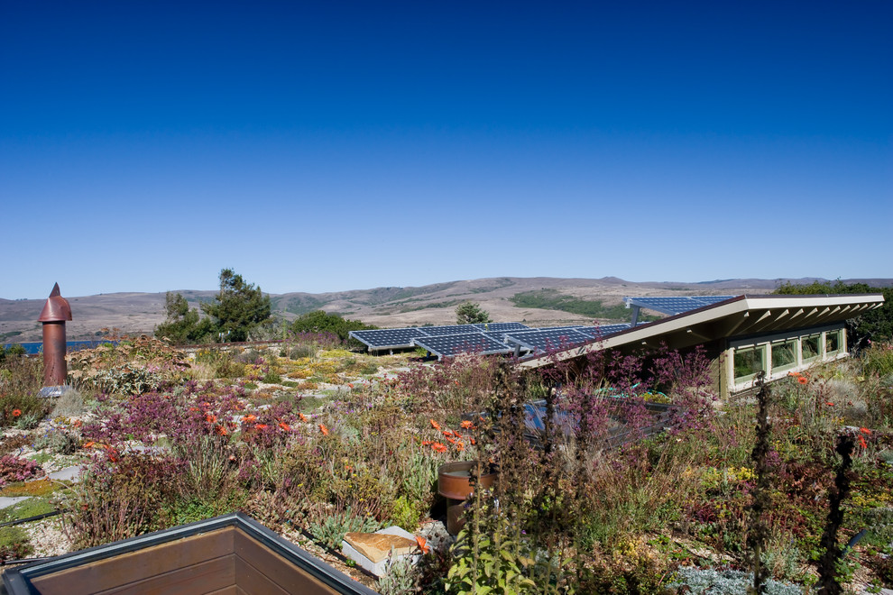 Cette photo montre un jardin sur toit tendance avec une exposition ensoleillée.