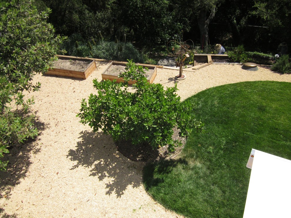 Exemple d'un grand jardin arrière tendance au printemps avec une exposition ensoleillée et du gravier.