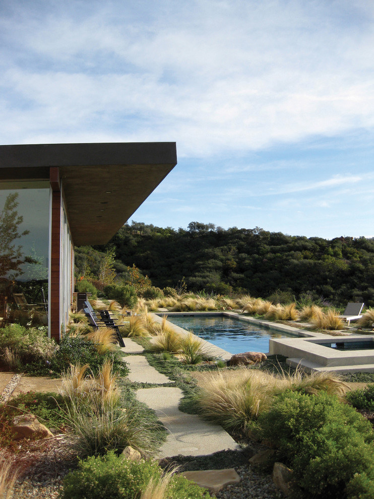Пример оригинального дизайна: солнечный засухоустойчивый сад на заднем дворе в стиле модернизм с хорошей освещенностью