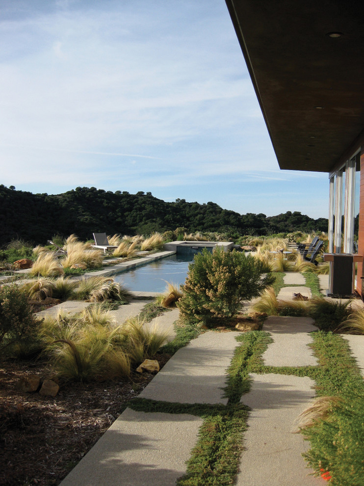 Esempio di un giardino minimalista esposto in pieno sole dietro casa