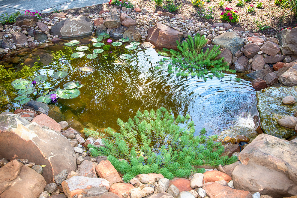 Foto di un laghetto da giardino classico esposto in pieno sole di medie dimensioni e davanti casa con pacciame