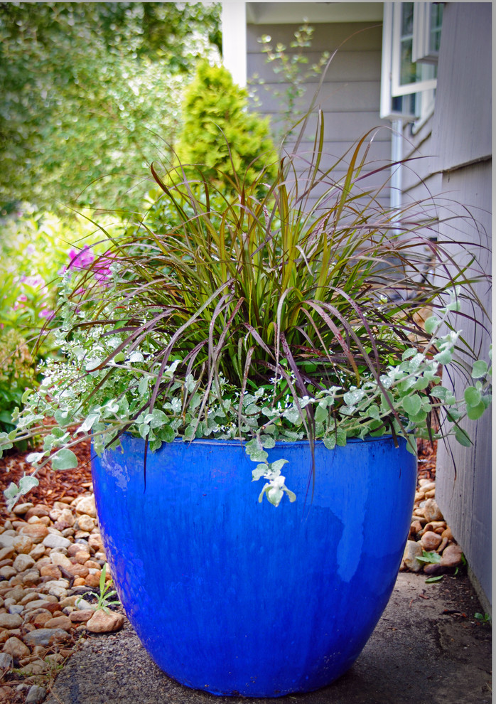 Ispirazione per un piccolo vialetto d'ingresso chic esposto a mezz'ombra davanti casa in estate con un giardino in vaso