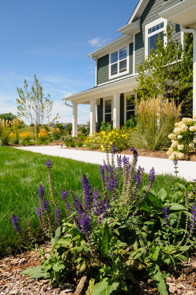 Foto di un giardino xeriscape chic esposto in pieno sole di medie dimensioni e davanti casa in estate con pavimentazioni in cemento e un ingresso o sentiero